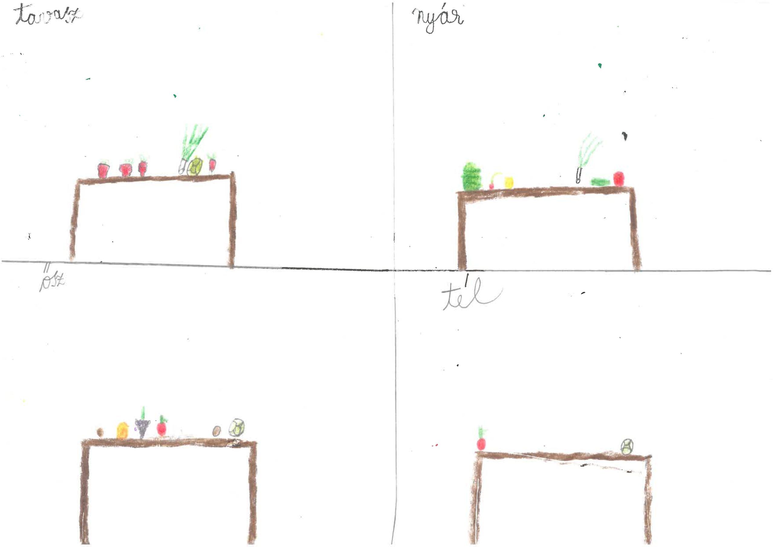 desen_006
