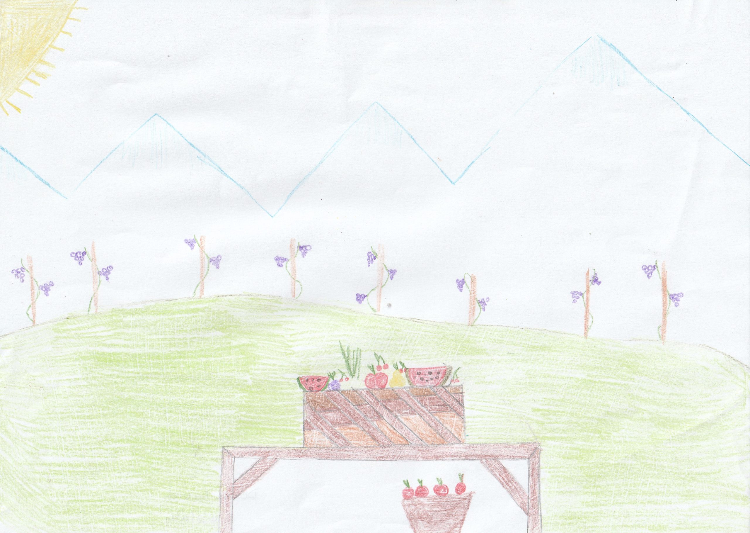 desen_0066
