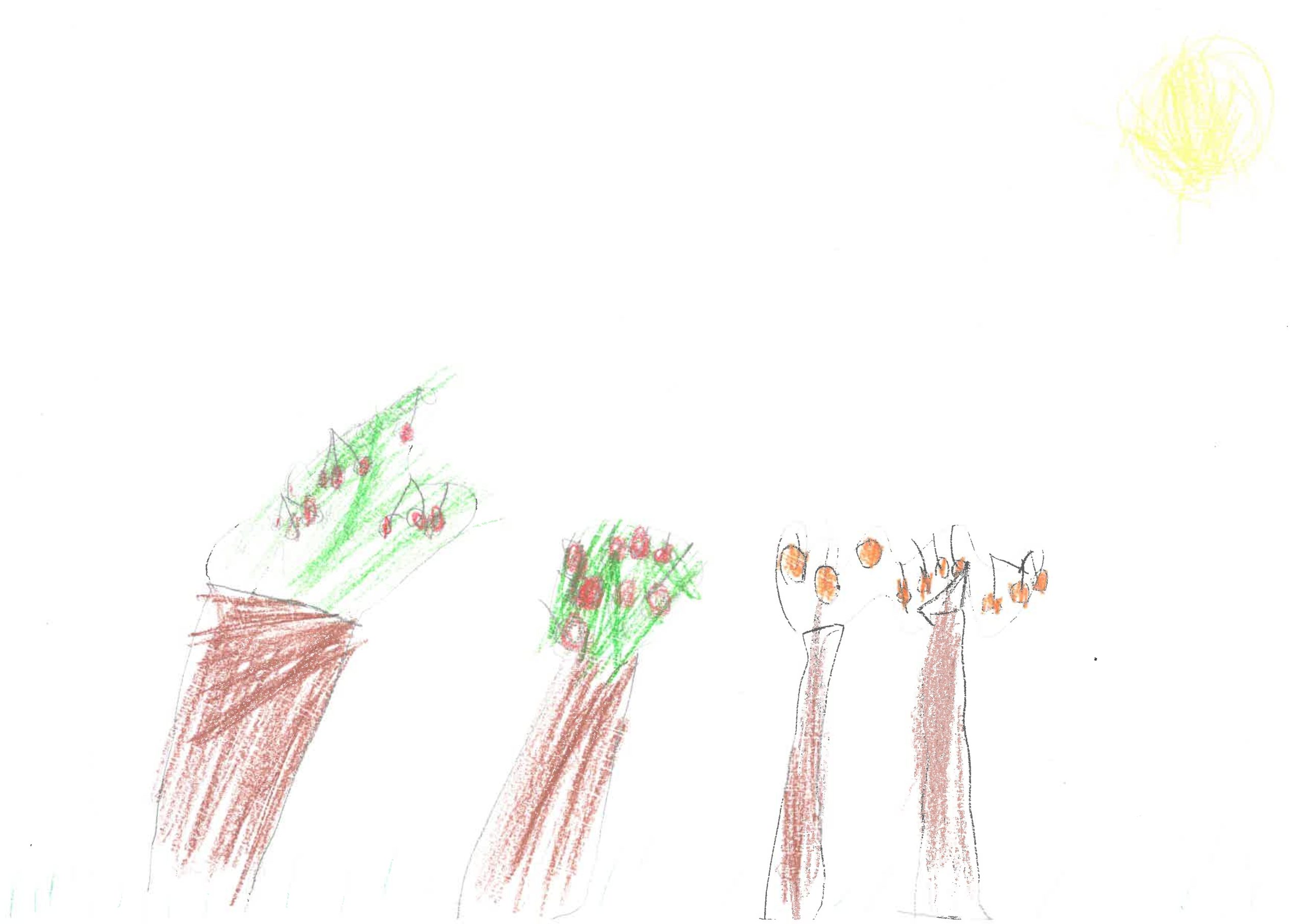 desen_0094