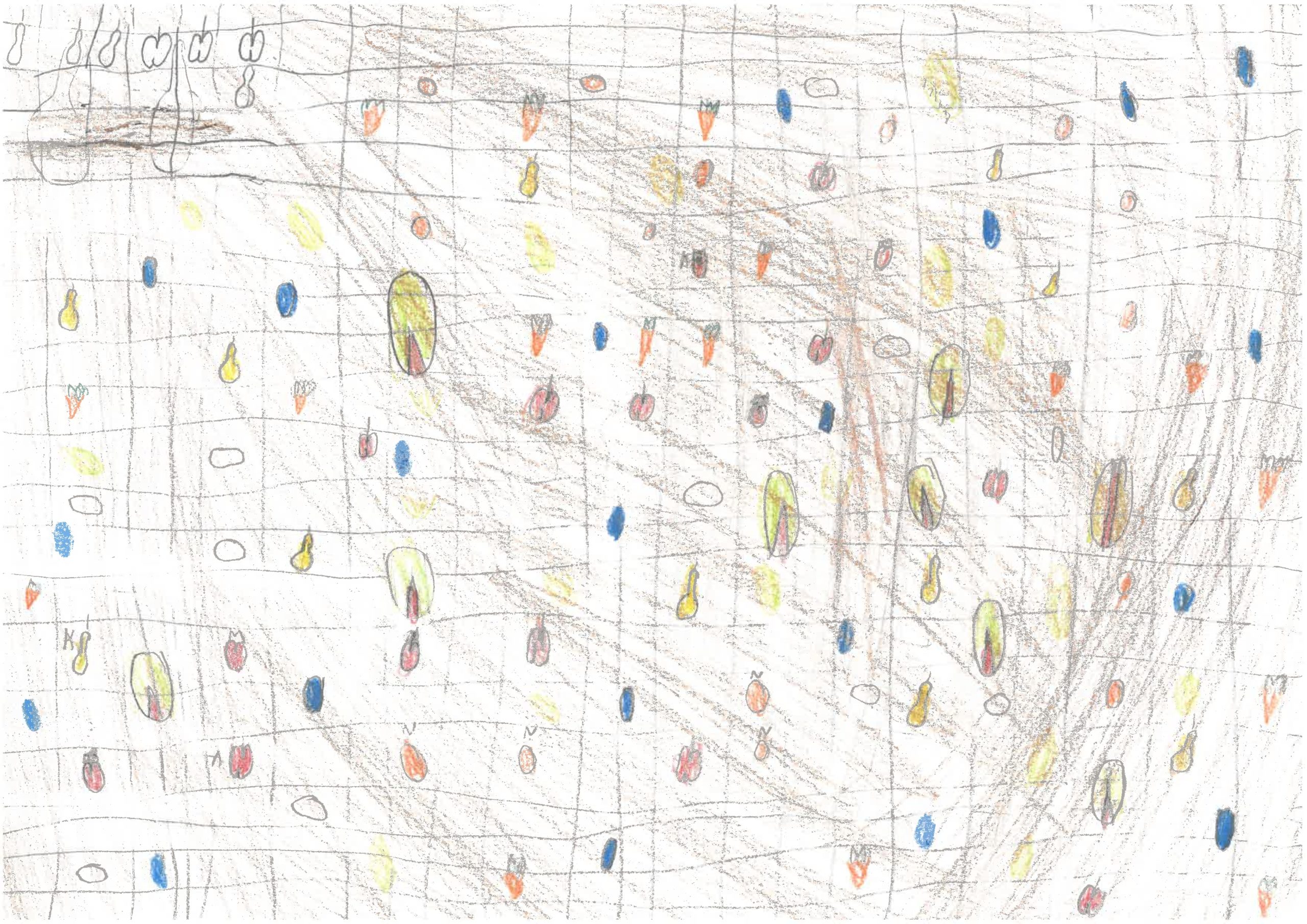 desen_0097
