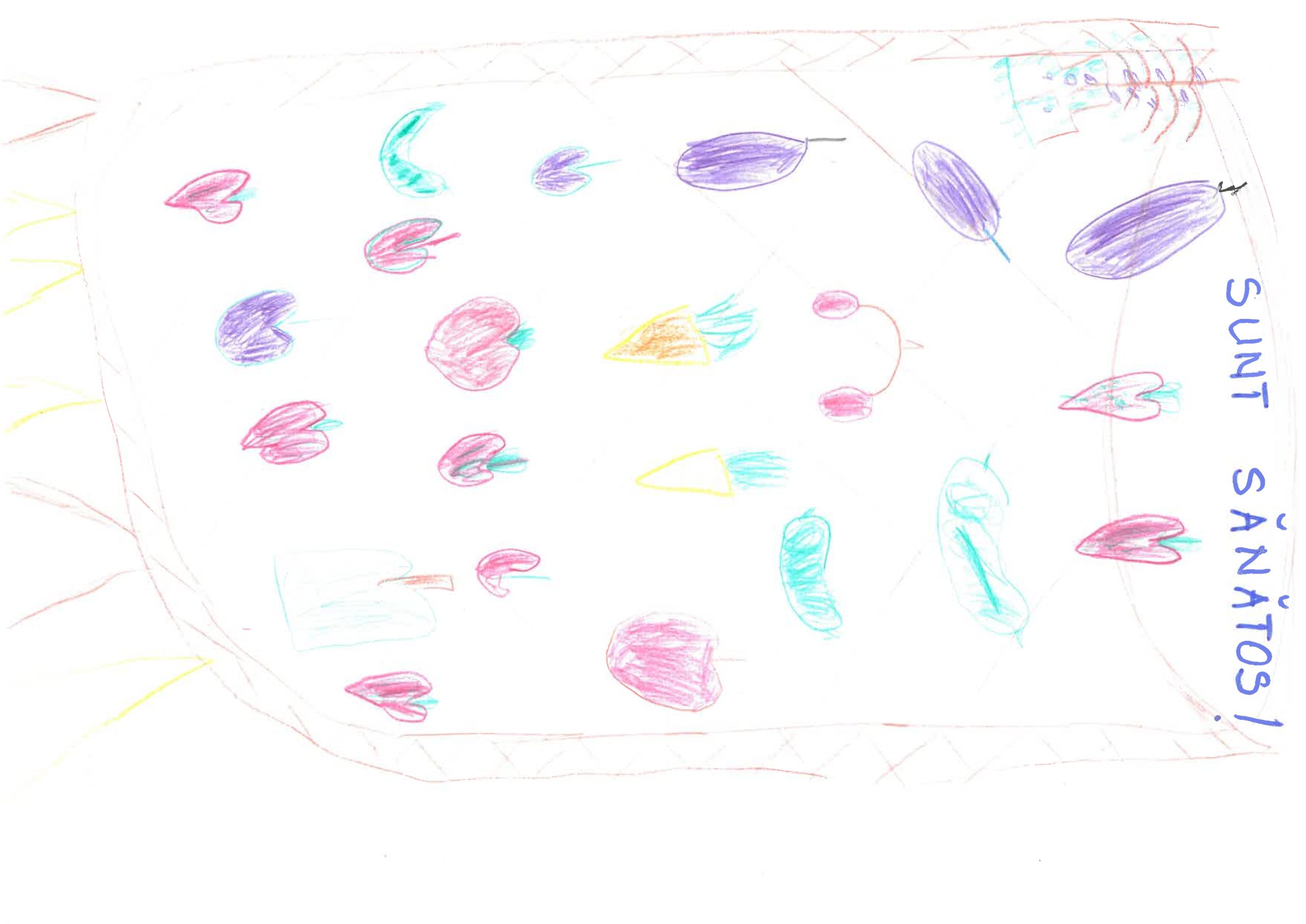desen_0150
